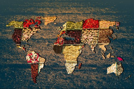 Téléchargez les photos : Carte du monde approximativement esquissée avec la véracité du remplissage d'épices - en image libre de droit