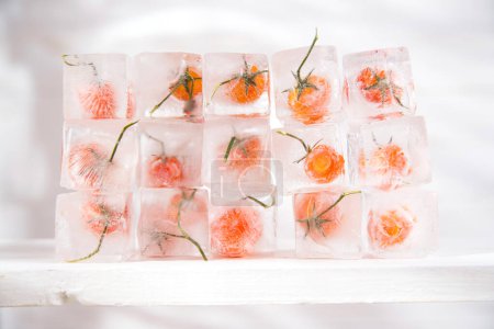 Foto de Tomate congelado en cubitos de hielo - Imagen libre de derechos