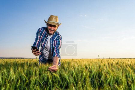 Foto de Hombre con smartphone en el campo agrícola - Imagen libre de derechos