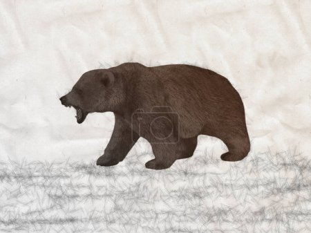 Téléchargez les photos : Ours brun marchant sur fond blanc - en image libre de droit