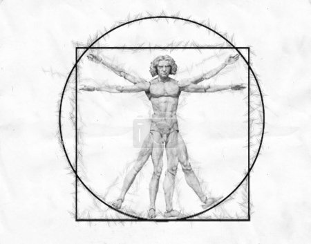 Téléchargez les photos : Homme vetruvien de Da Vinci, illustration - en image libre de droit