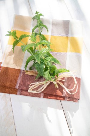Photo for Sprigs of green peppermint for background - Royalty Free Image