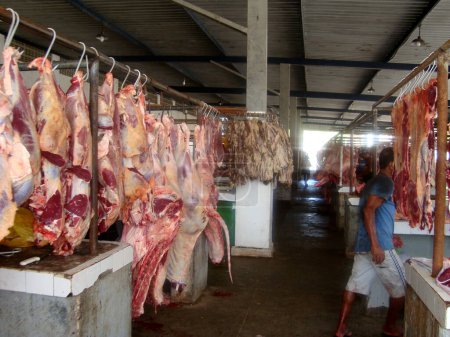 Téléchargez les photos : Marché de la viande à vendre - en image libre de droit