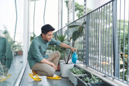 Téléchargez les photos : Homme arrosant des plantes vertes sur le balcon, petit jardin confortable dans l'appartement - en image libre de droit