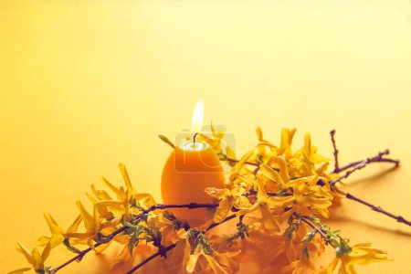 Téléchargez les photos : Bougie jaune en forme d'oeuf et de belles branches de plantes forsythia printemps. - en image libre de droit