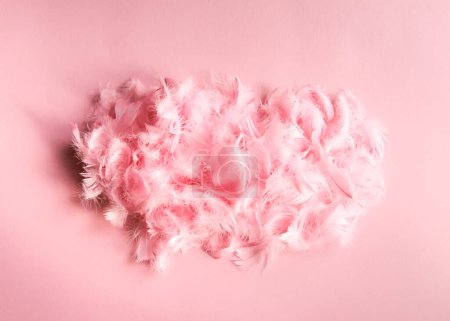 Photo for Easter composition with traditional decor of pink feathers. - Royalty Free Image