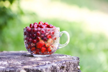 Foto de Ripe cherries and strawberries in a transparent cup on tree stump. Fresh red fruits in summer garden - Imagen libre de derechos
