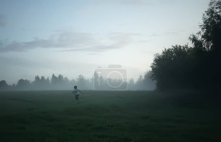 Téléchargez les photos : "Evening mist on a field in countryside at summer." - en image libre de droit