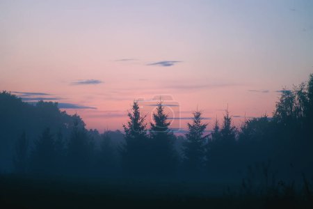 Téléchargez les photos : Vue panoramique du champ brumeux à la campagne en été. - en image libre de droit
