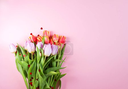 Téléchargez les photos : "Printemps belles fleurs de tulipes sur fond pastel doux." - en image libre de droit
