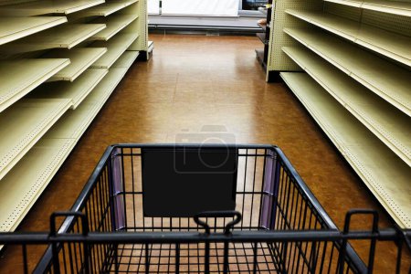 Foto de Empty shelves and grocery cart in supermarket during the covid-19 crisis. - Imagen libre de derechos