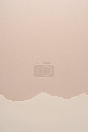 Photo for Torn strips of paper - Royalty Free Image