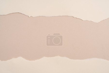 Téléchargez les photos : Torn strips of paper - en image libre de droit