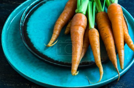 Photo for Fresh organic carrots, close-up view - Royalty Free Image