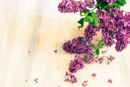Téléchargez les photos : Printemps lilas fleurs sur la table - en image libre de droit