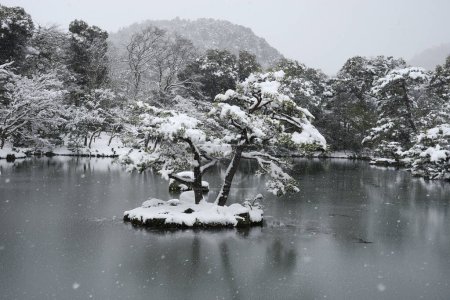 Foto de Kinkakuji en la nieve, Templo del Pabellón de Oro - Imagen libre de derechos