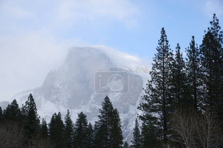 Photo for Beautiful and scenic view of mountains forest - Royalty Free Image