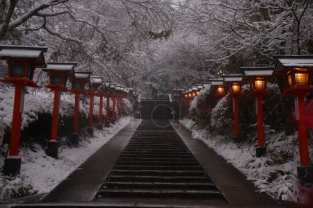 Téléchargez les photos : Kurama dans la neige pendant l'hiver - en image libre de droit