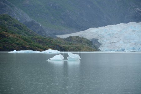 Foto de Flotador de iceberg en un lago - Imagen libre de derechos