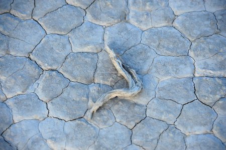 Téléchargez les photos : Sécheresse terrain sec dans le désert - en image libre de droit