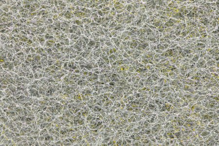 Téléchargez les photos : Texture de la surface du tampon nettoyeur - en image libre de droit