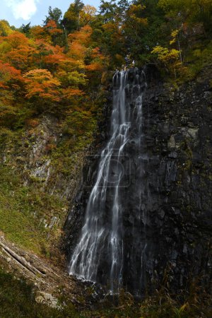 Photo for "Waterfall with Autumn Color in Akita" - Royalty Free Image