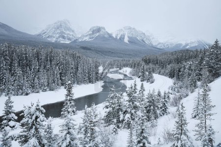 Téléchargez les photos : Vue aérienne de la rivière à travers les montagnes enneigées en hiver - en image libre de droit