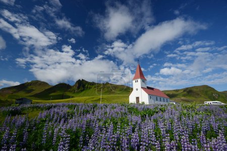 Téléchargez les photos : Paysage du lupin en Islande - en image libre de droit