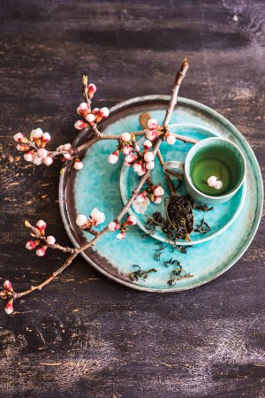 Photo for Green tea and peach blossom as a spring concept - Royalty Free Image