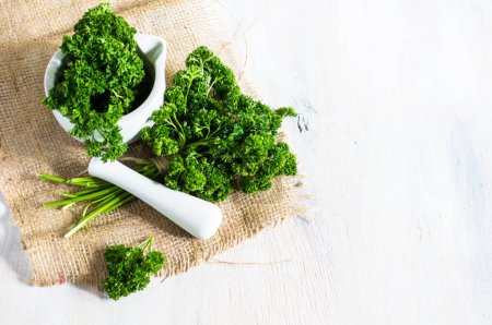 Photo for Fresh parsley herb view - Royalty Free Image