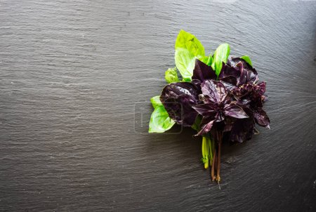 Photo for Close-up shot of fresh organic basil on tabletop for background - Royalty Free Image