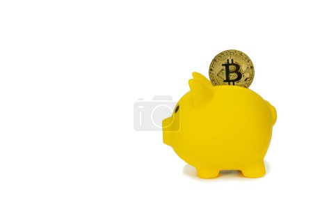 Photo for Save crypto currency in piggy bank concept. Investment for business - Royalty Free Image