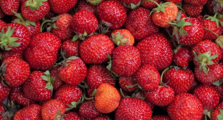 Photo for Close-up shot of delicious strawberries for background - Royalty Free Image