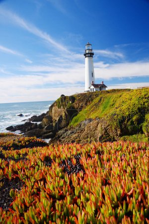 Téléchargez les photos : Paysage incroyable du phare de Pigeon Point, Californie, États-Unis. - en image libre de droit