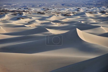 Photo for Desert dunes, colorful vibrant travel theme - Royalty Free Image