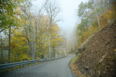 Photo for Autumn road edged with colorful trees - Royalty Free Image
