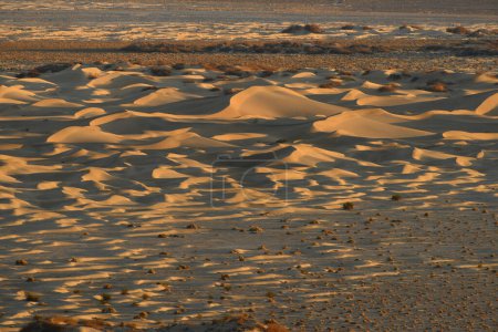 Téléchargez les photos : Paysage des dunes de sable par temps ensoleillé - en image libre de droit