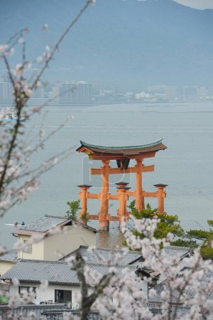 Téléchargez les photos : Sakura miyajima en fleurs - en image libre de droit