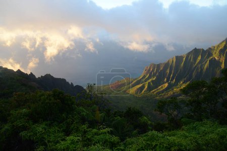 Téléchargez les photos : Beau paysage de Kauai. Contexte naturel - en image libre de droit