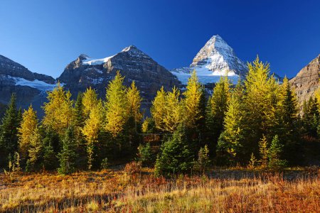Photo for Mountain scene in autumn background view - Royalty Free Image