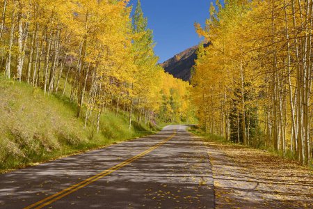 Foto de Camino de otoño a Aspen, Colorado, EE.UU.. - Imagen libre de derechos
