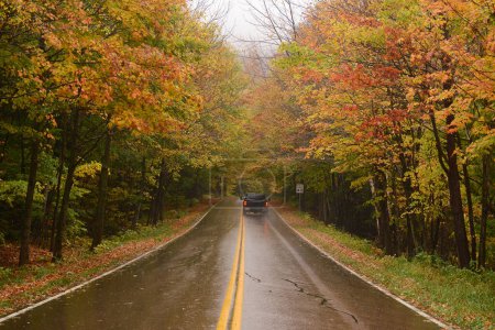Foto de Conducción de coches en el callejón mojado en otoño - Imagen libre de derechos