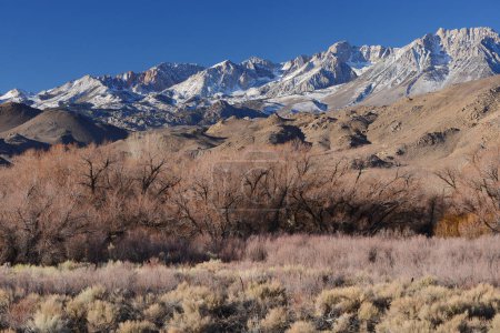 Téléchargez les photos : Paysage de la Sierra Nevada - en image libre de droit