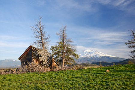 Téléchargez les photos : Maison abandonnée vue arrière-plan - en image libre de droit