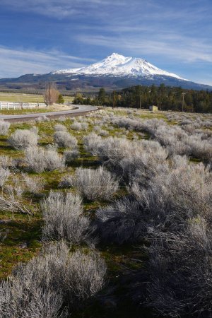 Photo for Mount shasta, daytime view - Royalty Free Image