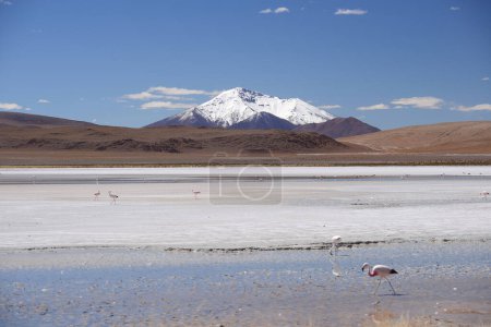 Foto de Vista panorámica de las montañas de Bolivia - Imagen libre de derechos
