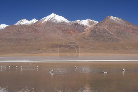 Téléchargez les photos : Vue panoramique sur les montagnes boliviennes - en image libre de droit