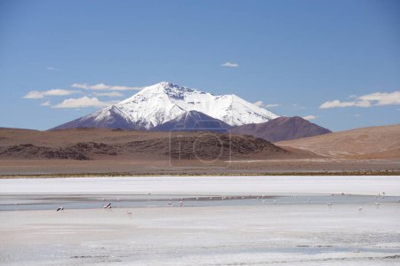 Foto de Vista panorámica de las montañas de Bolivia - Imagen libre de derechos