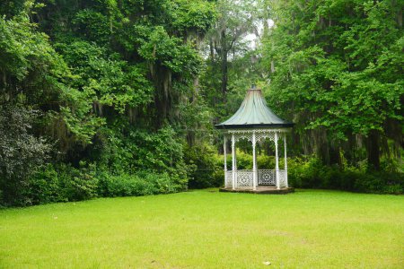 Photo for Small pavilion on lawn of green forest - Royalty Free Image