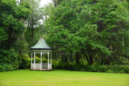 Téléchargez les photos : Petit pavillon sur pelouse de forêt verte - en image libre de droit